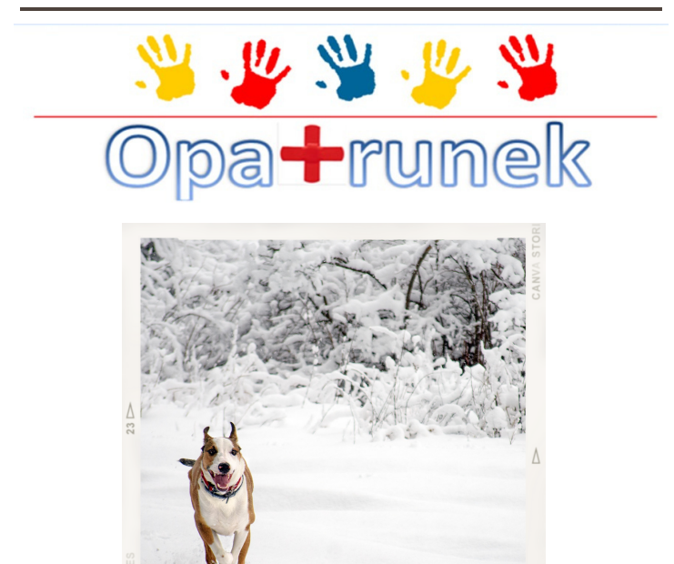 Opatrunek