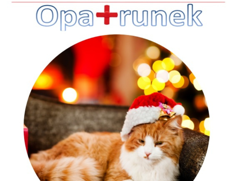 Opatrunek